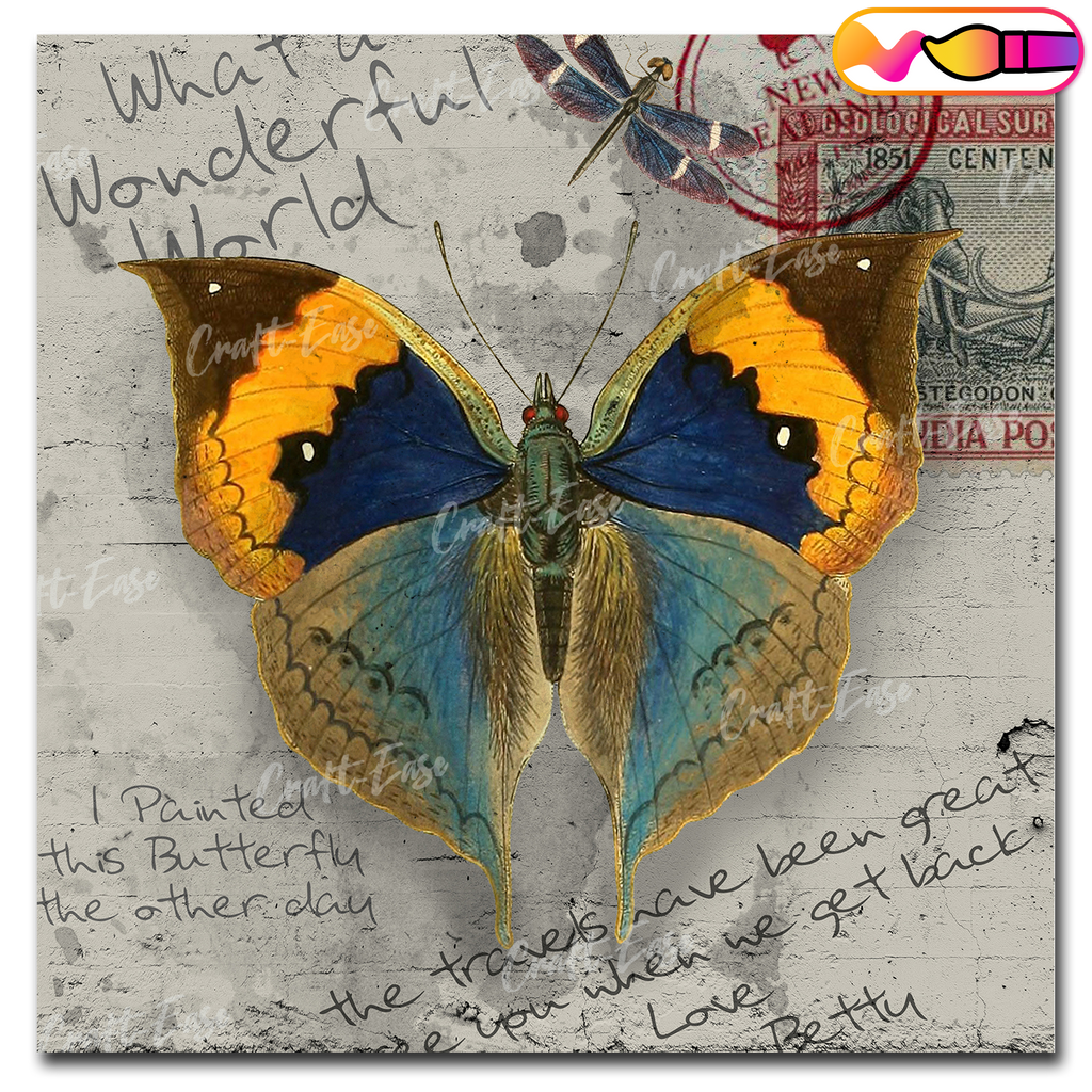 An image showing My Travels Butterfly Orange Blue Brown By David Loblaw