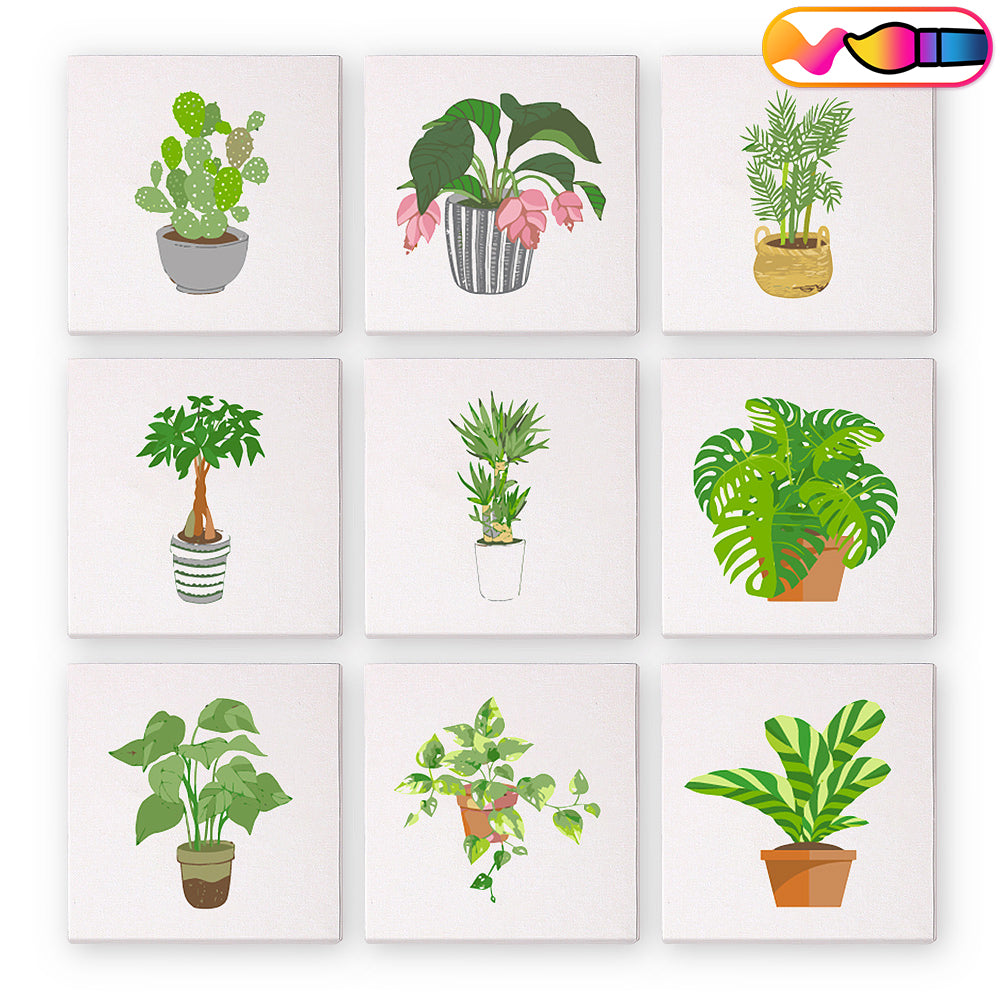 Plants - Mini Paint By Numbers (Set of 9)