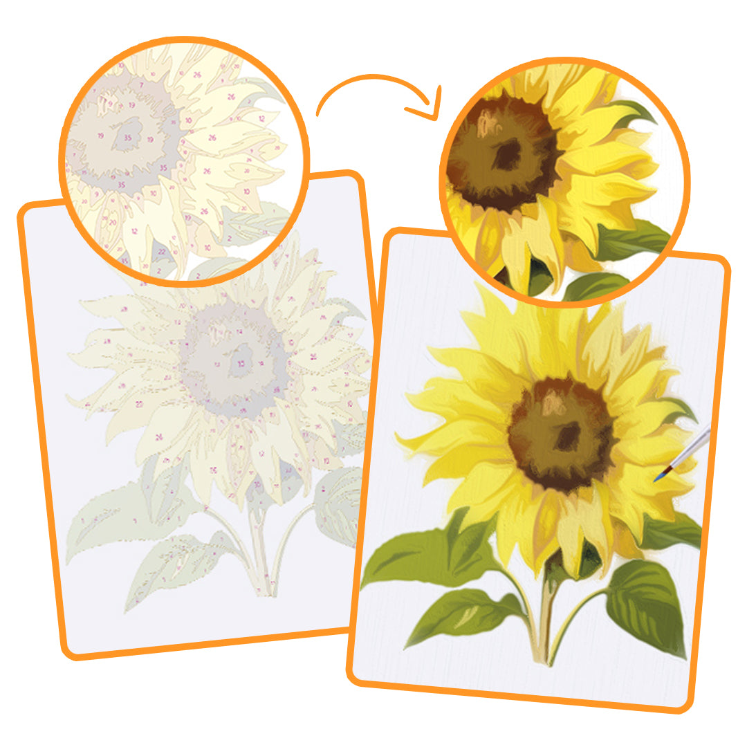 Bloomings - Mini Paint By Numbers  (Set of 6)